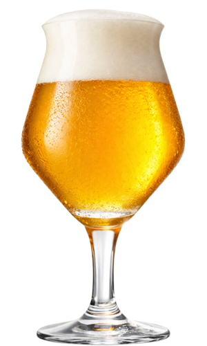 Sinasappel witbier, 4,8% Cocobolo