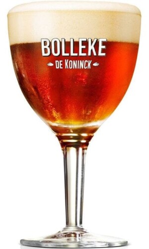 Bolleke